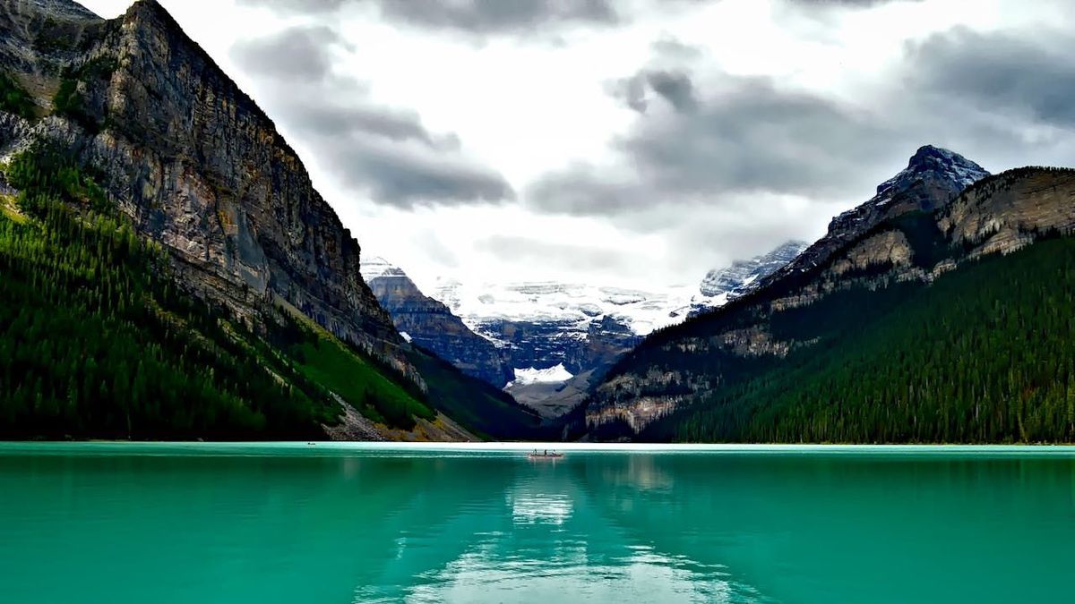 Ce trebuie să știi despre forma și culorile voblerelor &icirc;n ape limpezi