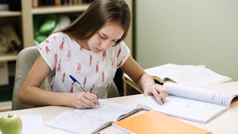 La ce oră se publică baremele de corectare? Astăzi, 18 martie 2025, elevii de clasa a VIII-a susțin proba scrisă la Matematică din cadrul simulării pentru Evaluarea Națională 2025