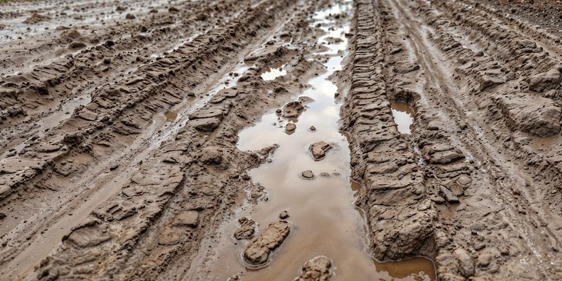 Sicriu cu mort abandonat în câmp. 