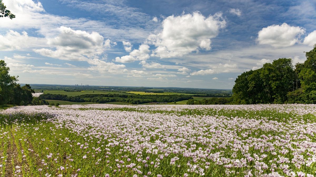 Ce se întâmplă cu zodiile după echinocțiul de primăvară? 