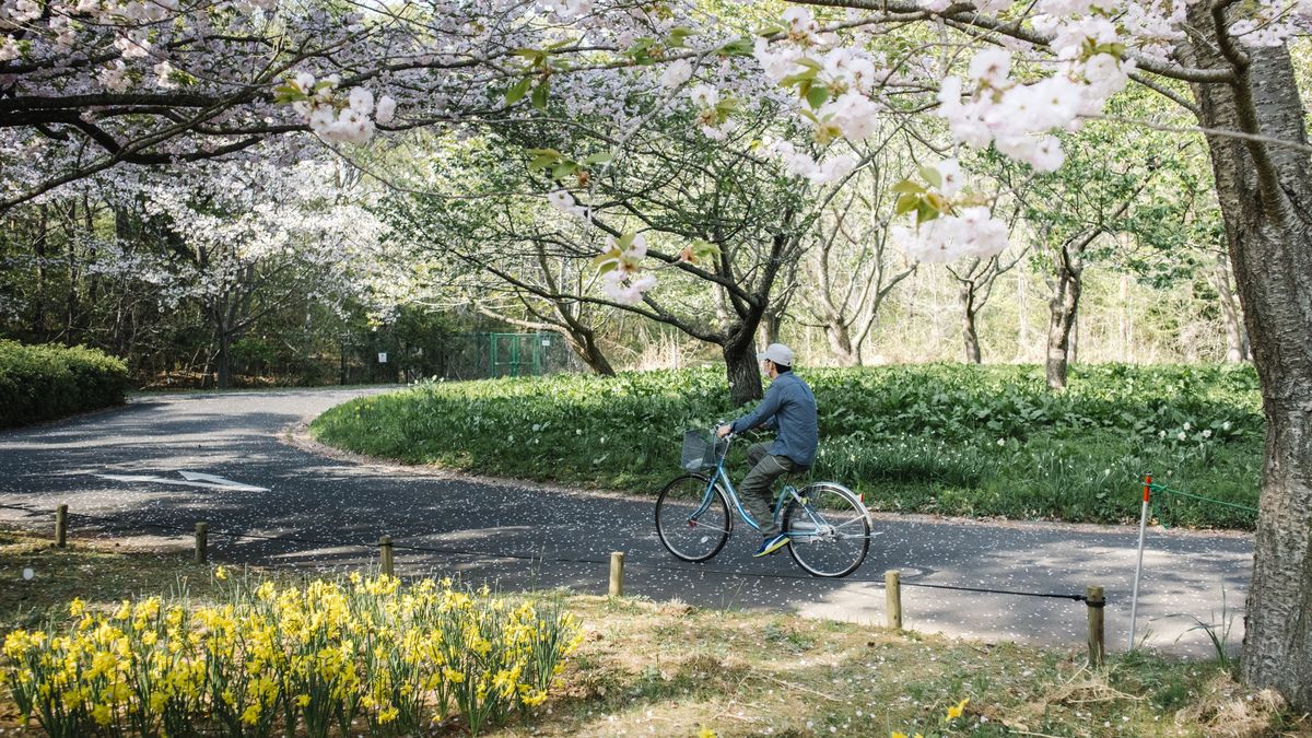 Cum va fi vremea &icirc;n București?