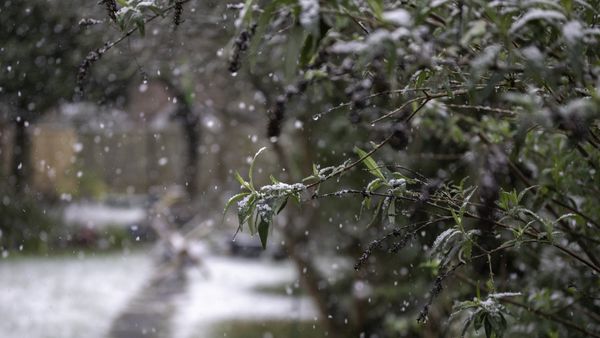 Orașul din Rom&acirc;nia acoperit de zăpadă la &icirc;nceputul lui mai 2025. Meteorologii Accuweather au făcut anunțul