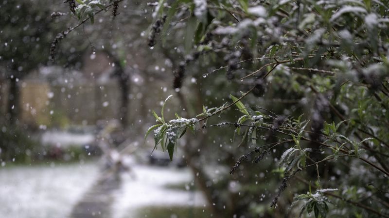 Orașul din Rom&acirc;nia acoperit de zăpadă la &icirc;nceputul lui mai 2025. Meteorologii Accuweather au făcut anunțul
