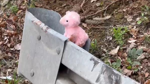 &bdquo;Salvați-mi fetița!&rdquo; O fetiță de 8 ani, campioană la dans și tatăl ei au murit &icirc;ntr-un accident &icirc;n Serbia, &icirc;n drum spre casa lor din Rom&acirc;nia