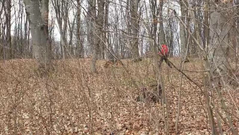 Un tânăr de 27 de ani, găsit mort într-o pădure din Cluj