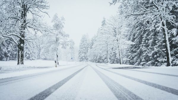 Vreme deosebit de rece, ninsori și &icirc;ngheț, &icirc;n toată țara! Zonele pentru care au fost emise avertizări cod galben și cod portocaliu