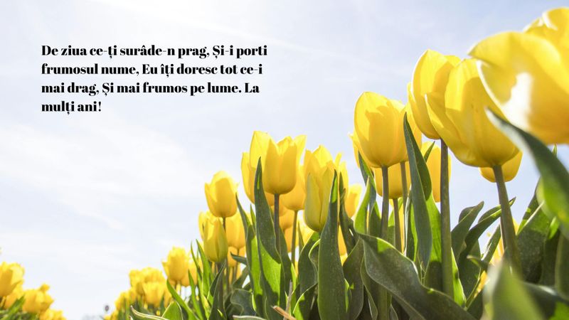 Mesaje și urări deosebite pentru Florii 