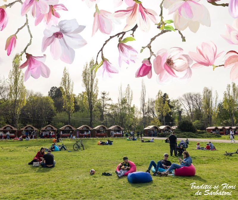 Lista celor mai tari evenimente care vor avea loc în weekendul 12-13 aprilie