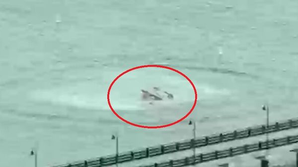 Un elicopter cu turiști s-a prăbușit &icirc;ntr-un r&acirc;u. Șase oameni, printre care trei copii, au murit: &rdquo;Am văzut c&acirc;țiva oameni alerg&acirc;nd spre apă&rdquo;