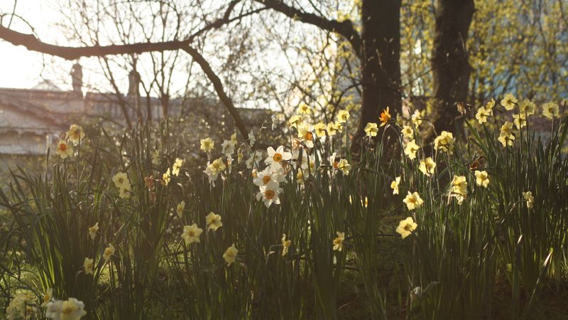 Vremea se &icirc;ncălzește &icirc;n Rom&acirc;nia! Meteorologii anunță temperaturi neașteptat de ridicate p&acirc;nă la jumătatea lunii mai 2025