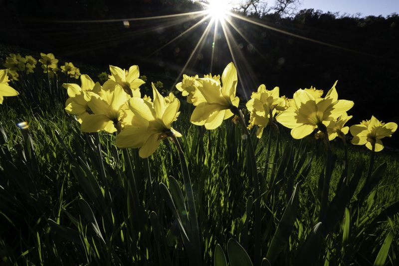 Prognoza meteo până la jumătatea lunii mai 2025