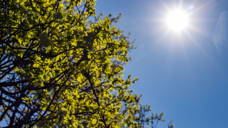 Prognoza ANM pentru minivacanța de 1 Mai 2025. Meteorologii anunță temperaturi neobișnuit de ridicate. &Icirc;n ce zone va ploua?