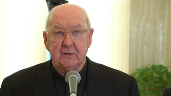 Cine este și ce atribuții are cardinalul Kevin Farrell, actualul şef interimar al Vaticanului? Acesta a confirmat moartea Papei Francisc