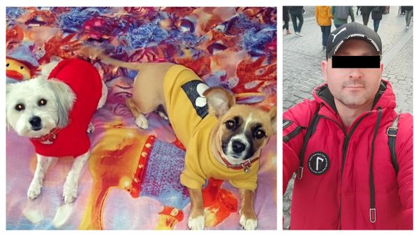 Bărbatul care a omorât doi câini de talie mică cu bâta, plasat în arest la domiciliu. Oamenii cer dreptate și anunță proteste: ”Merită închisoare!”