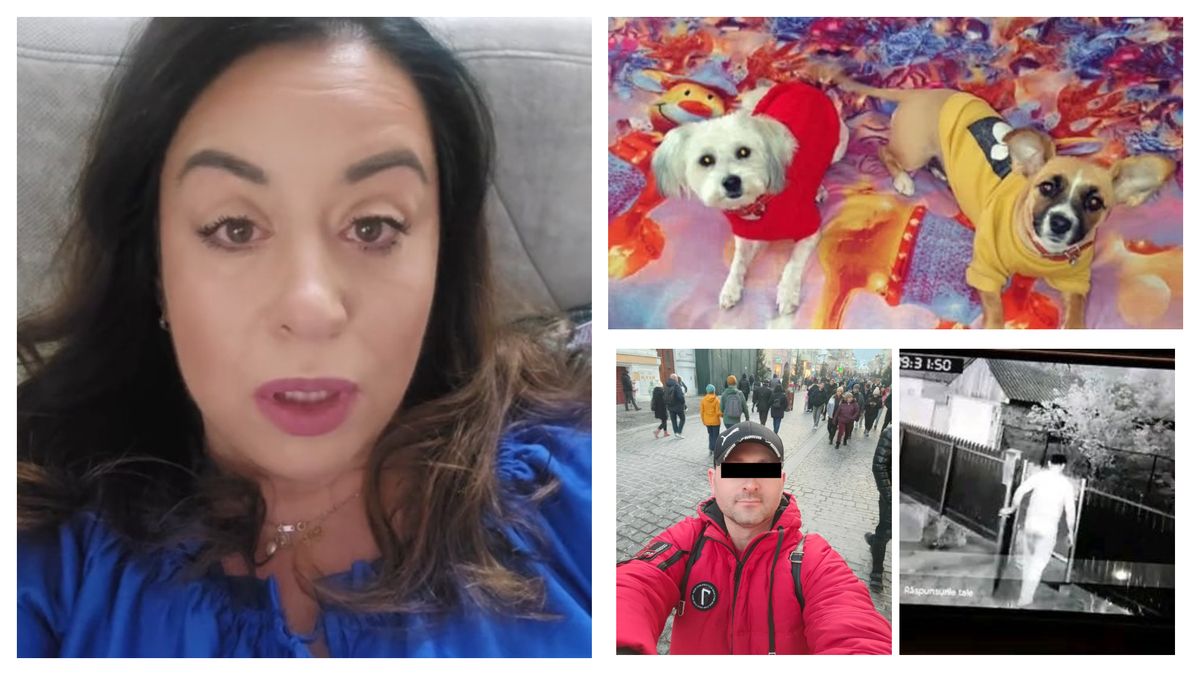 Reacția dură a Oanei Roman după tragedia din Tulcea