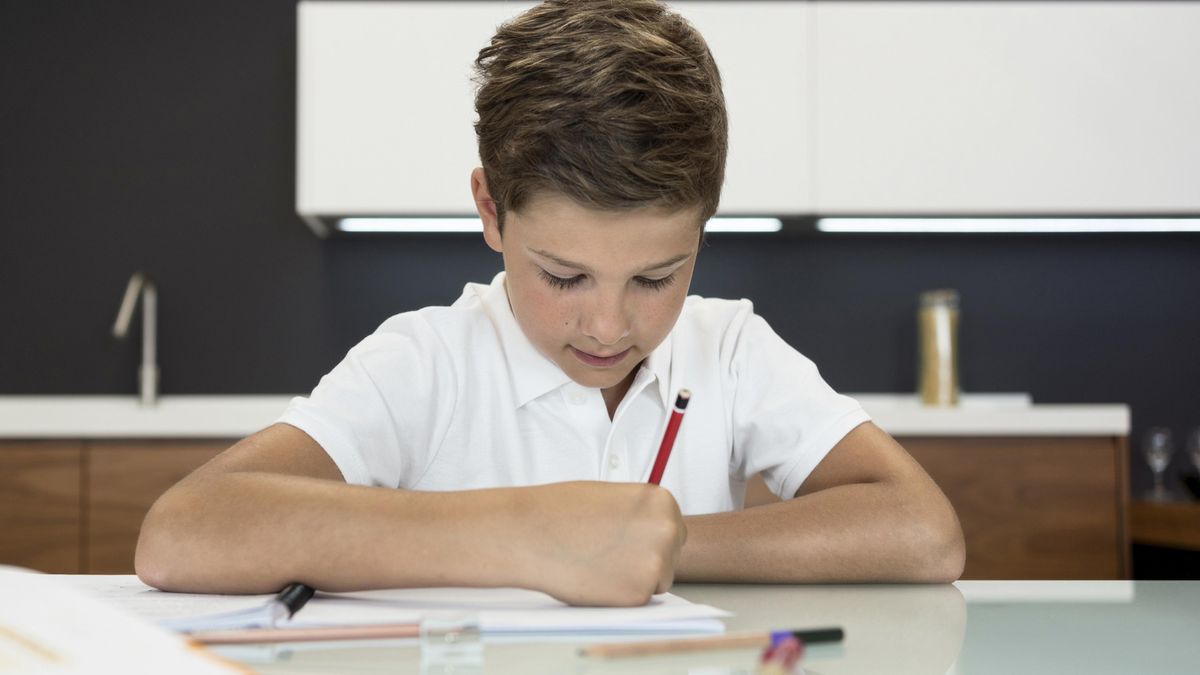 C&acirc;nd vor avea loc Evaluările Naționale pentru elevii claselor a II-a, a IV-a şi a VI-a?