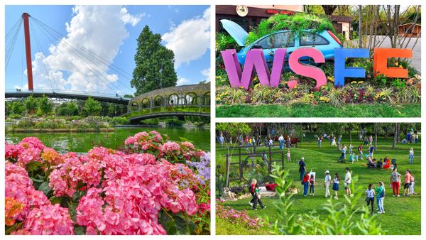 Atracțiile spectaculoase de la West Side Flower Fest &icirc;n 2025: &bdquo;Legendele Olimpului&rdquo;, &bdquo;Micul prinț&rdquo;, &bdquo;Visul unei nopți de vară&rdquo; sunt recreate &icirc;n decoruri fantastice realizate din flori și plante