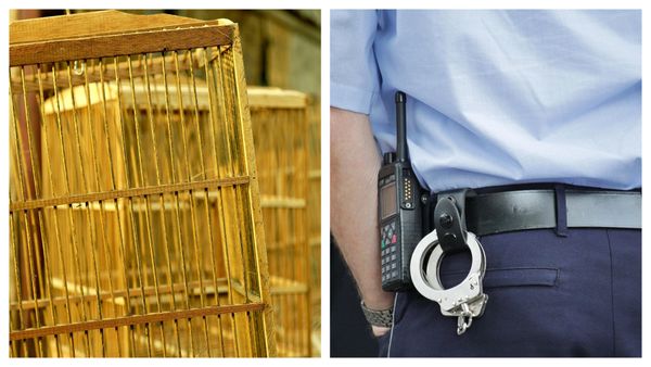 Strigător la cer! O adolescentă, ținută captivă &icirc;ntr-o cușcă de c&acirc;ine de propria mamă și tatăl vitreg. Cum a fost posibil