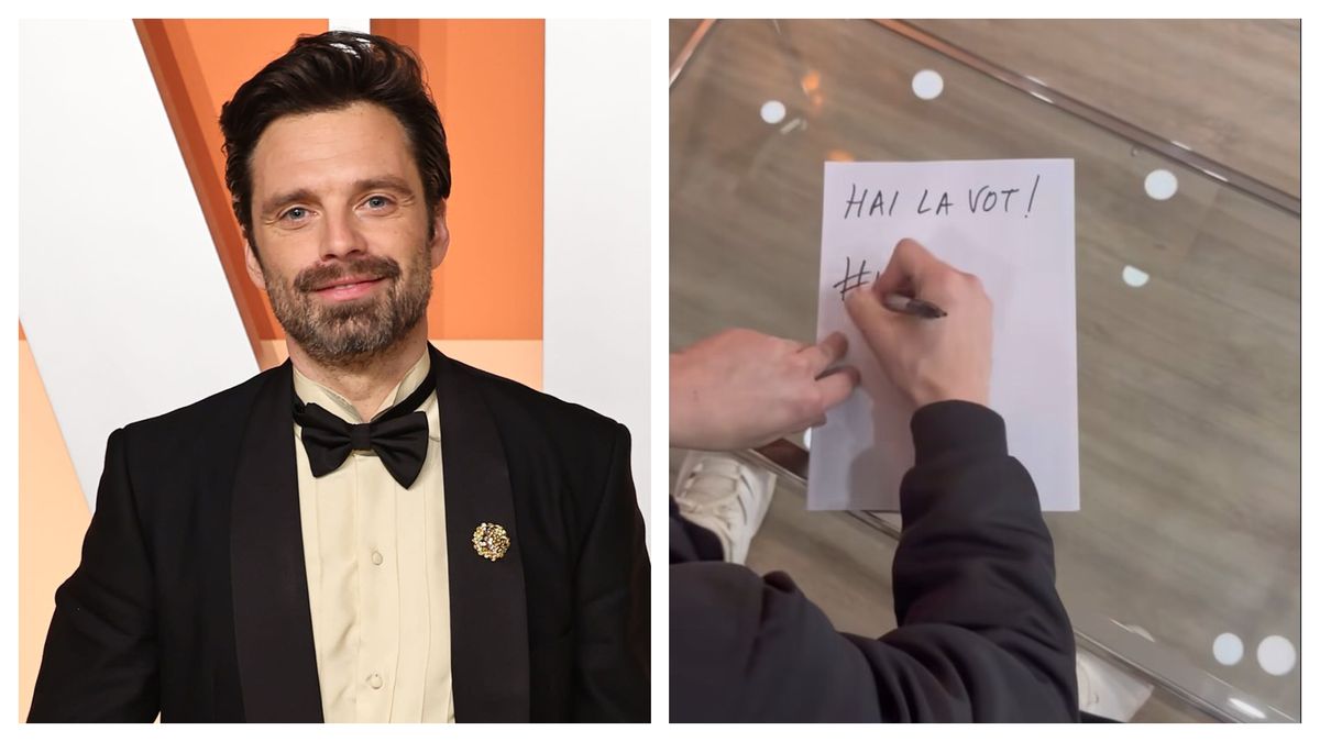 Actorul Sebastian Stan, apel către români