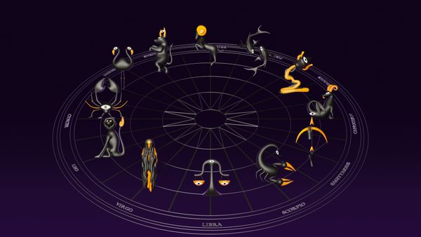 HOROSCOP 21 mai 2025. Vărsătorii dau LOVITURA pe plan profesional! &Icirc;i așteaptă o zi plină de surprize și c&acirc;știguri financiare