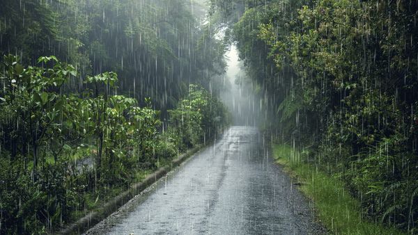 Cum va fi vremea &icirc;n weekend? Meteorologii anunță cod galben de furturi &icirc;n cea mai mare parte a țării. Care sunt județele vizate?