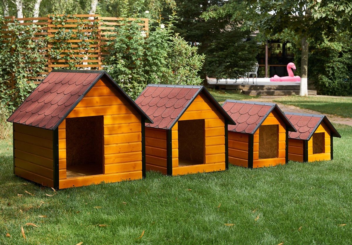 Cele mai potrivite rase de c&acirc;ini pentru familiile cu copii