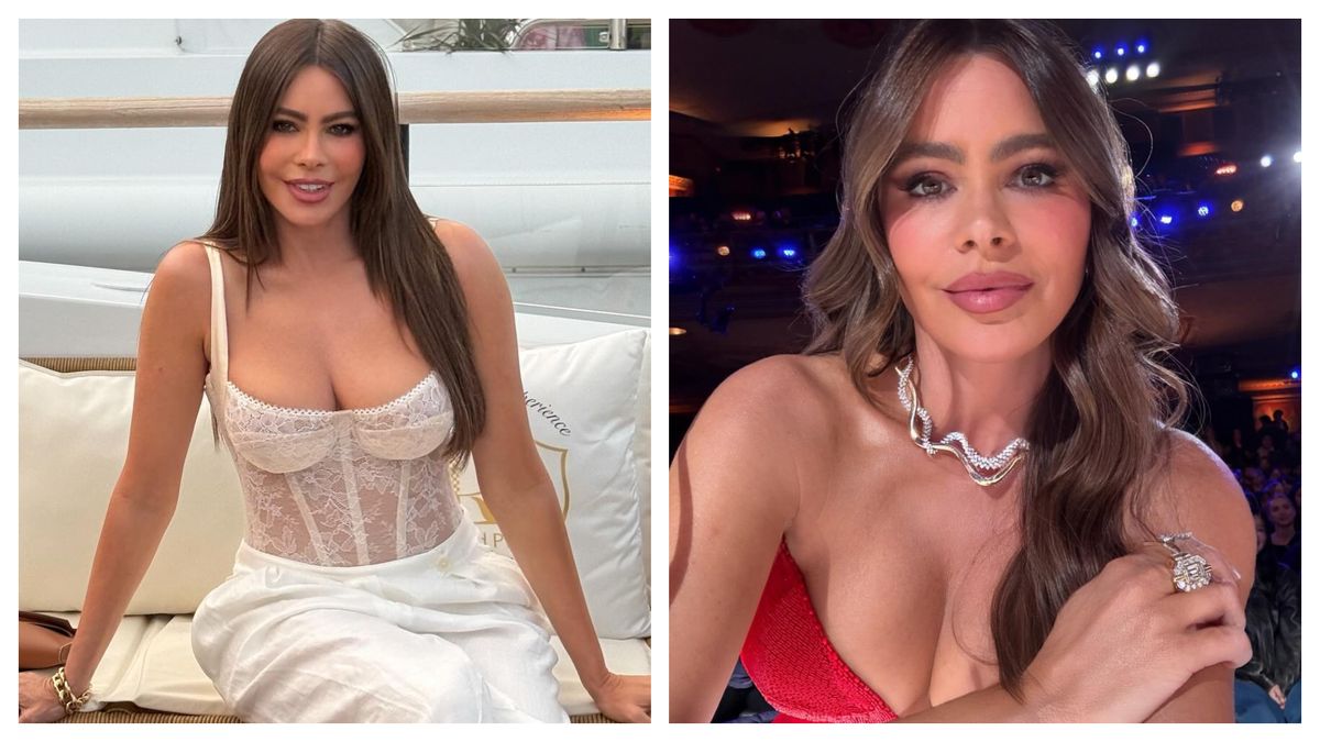 Cum arată bărbatul perfect pentru Sofia Vergara