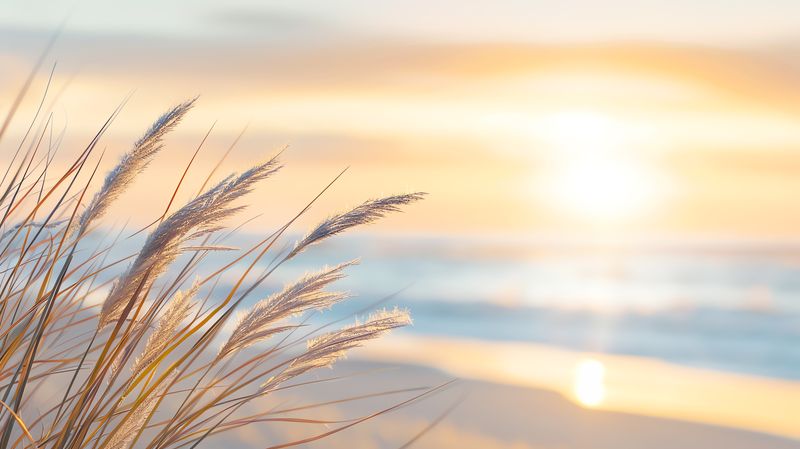 Descoperă prognoza anunțată de meteorologi pentru lunile următoare 