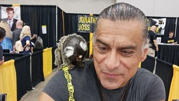 Doliu imens la Hollywood! Un celebru actor în vârstă de 59 de ani a murit într-un atac armat