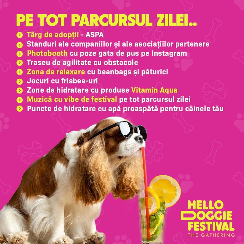 Ce târguri au loc în weekend? 