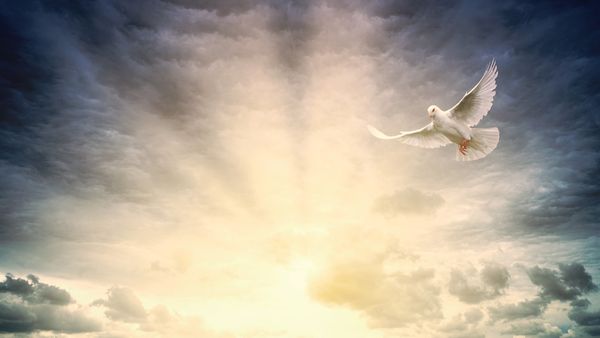 Sărbătoare mare &icirc;n calendarul ortodox pe 9 iunie 2025, Lunea Sf&acirc;ntului Duh. Tradiții, semnificație și ce nu e bine să faci &icirc;n această zi