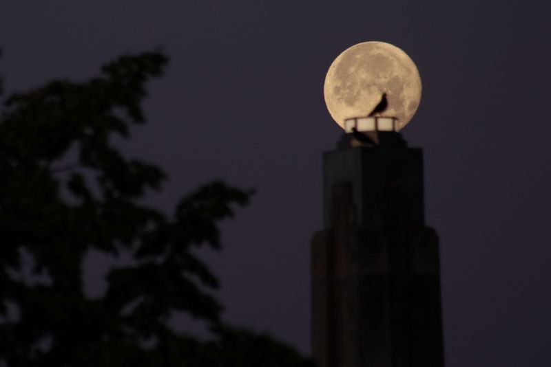 Luna Capsunelor 2025. Ce influenta are asupra zodiilor