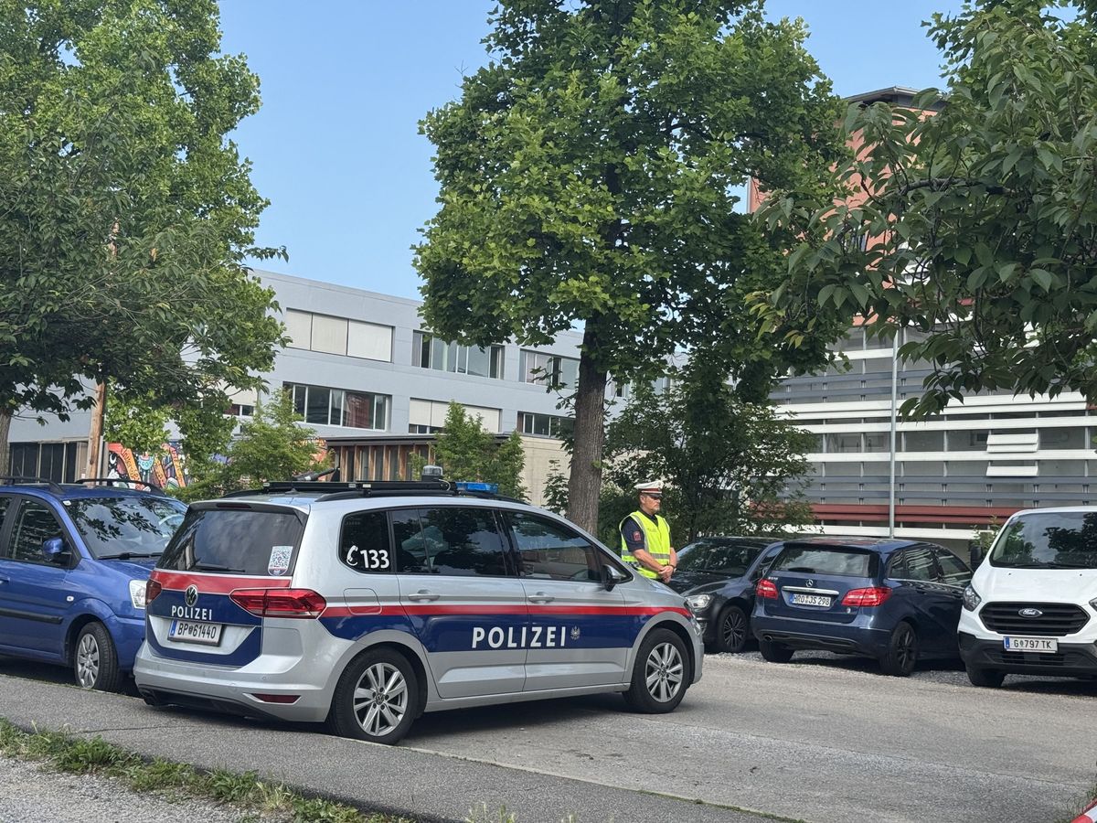 Cine este atacatorul de la Graz, Austria