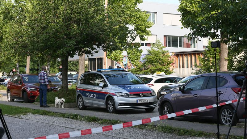 Mărturiile cutremurătoare ale mamei lui Razvan, elevul rom&acirc;n &icirc;mpușcat de 2 ori &icirc;n cap &icirc;n atacul din Austria: "Dumnezeu a făcut o minune!"