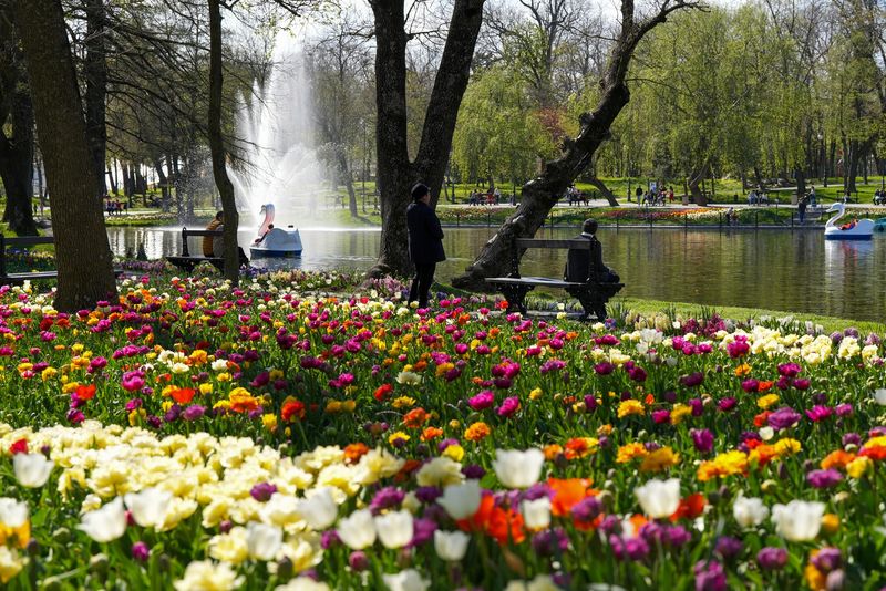 Imagini deosebite din Parcul Romanescu 