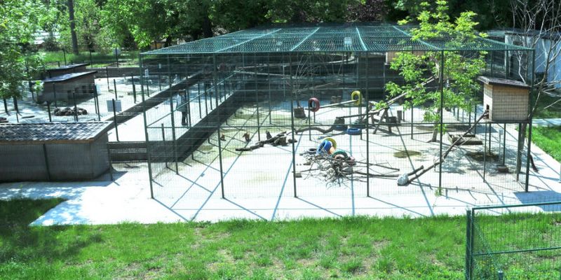 Noi amenajari si imbunatatiri la Gradina Zoologica din Craiova