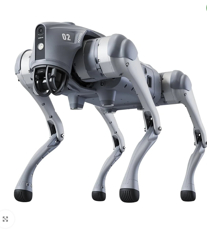 Imagini cu câinii-roboți din Cluj