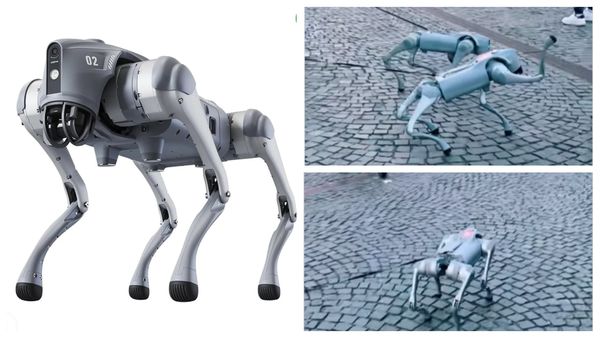 Clujul, luat cu asalt de c&acirc;inii-roboți: &bdquo;Am vrut să-mi iau un c&acirc;ine&hellip; dar &icirc;n Cluj toți sunt roboți cu AI, costă 12.000 de euro și &icirc;ți programează singuri plimbările.&rdquo;  Imaginile virale cu patrupedele-roboți