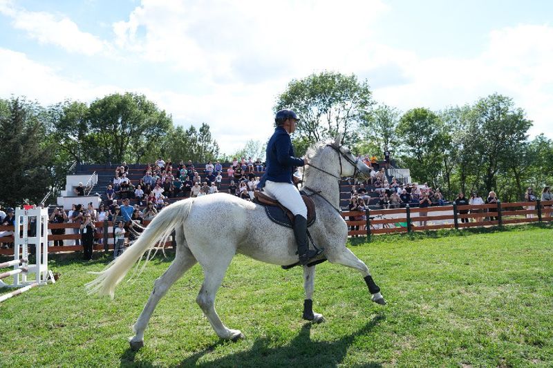 Vezi aici cum arată acum Hipodromul Craiovei 