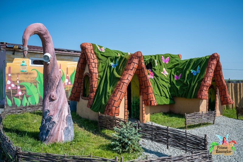 Ce poți vedea în Poiana Basmelor? 
