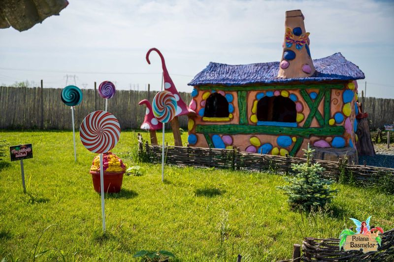 Ce trebuie să știi despre Poiana Basmelor? 