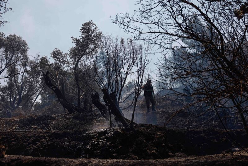 incendiul de pe insula Chios care a devastat vegetatia