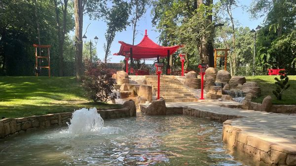 Mica Japonie din inima CRAIOVEI! Parcul Pedagogic, un adevărat colț de Rai în mijlocul orașului: "Extraordinar de frumos, este magic!"