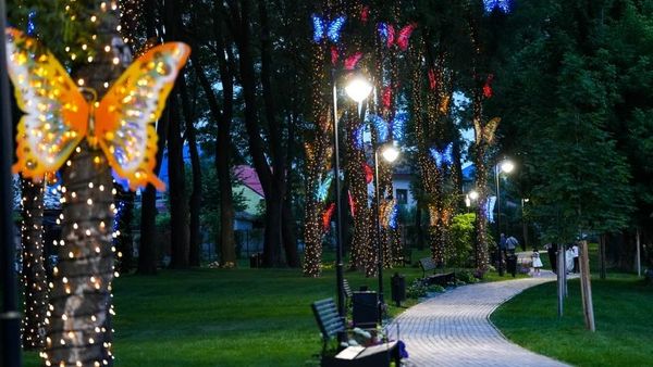 Fantasy Park, micul Dubai din mijlocul CRAIOVEI! Locul magic unde copacii au prins aripi. Fluturi uriași urcă printre crengi, lumin&acirc;nd noaptea ca o poveste fantasmagorică