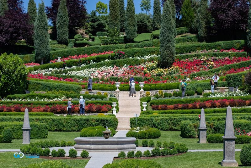 Vezi aici cum arată Giardini di Zoe 