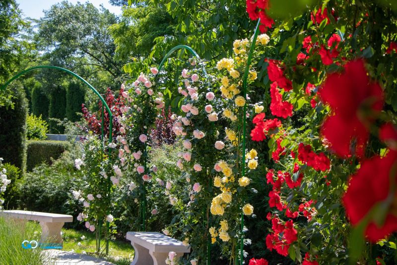 Cum au fost realizate ”Giardini di Zoe”, cele mai frumoase grădini din România? 