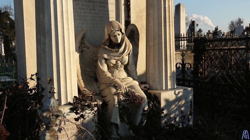 Mormantul Aristiei Aman din Cimitirul Sineasca Craiova