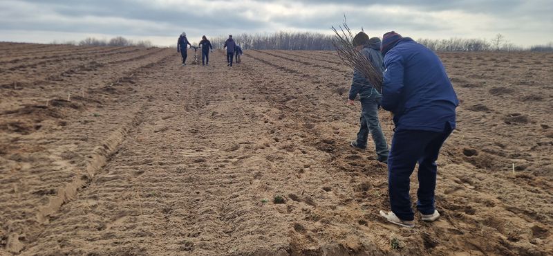 Imagini din Sahara Olteniei 