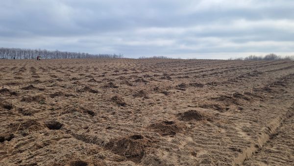 Sahara Olteniei, locul unde te poți plimba printre dunele de nisip chiar la 20 de km de CRAIOVA