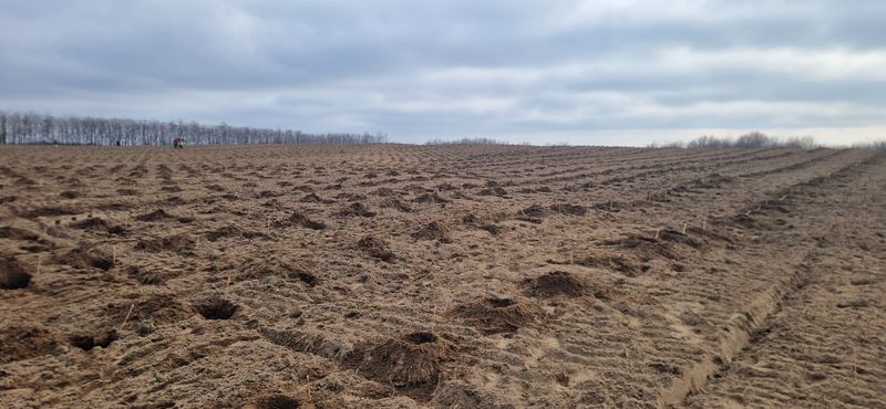 Descoperă Sahara Olteniei 